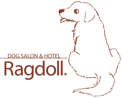 仙台のドッグサロン＆ホテル Ragdoll（ラグドール）