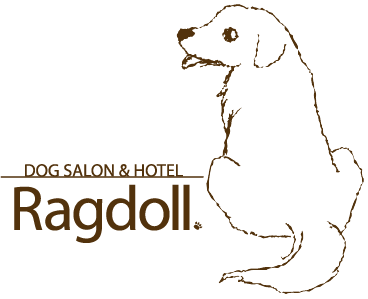 仙台のドッグサロン＆ホテル Ragdoll（ラグドール）