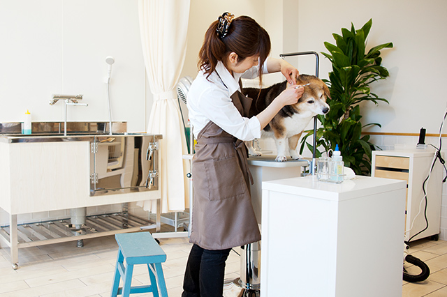 成長できる環境